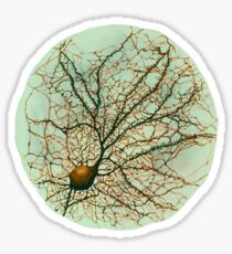 Dendritic tree and spines of an hippocampal neuron - watercolor - green Sticker