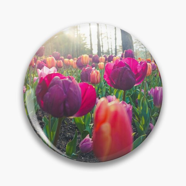 Item preview, Sunrays on Violet and Orange Tulips designed and sold by thegraypocket.