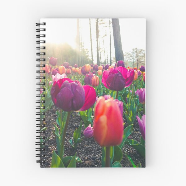 Item preview, Sunrays on Violet and Orange Tulips designed and sold by thegraypocket.
