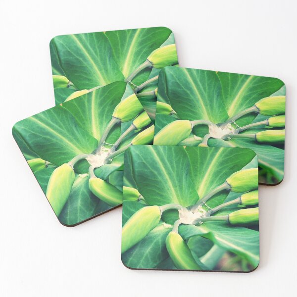 Item preview, Euphorbia designed and sold by lescreasdegaia.