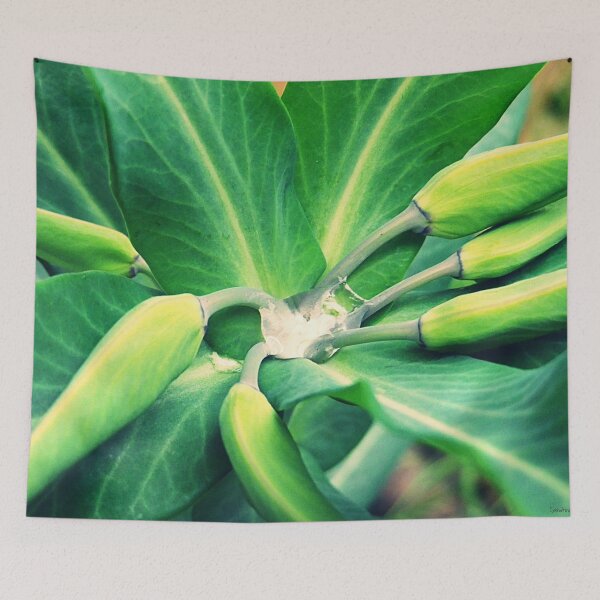 Item preview, Euphorbia designed and sold by lescreasdegaia.