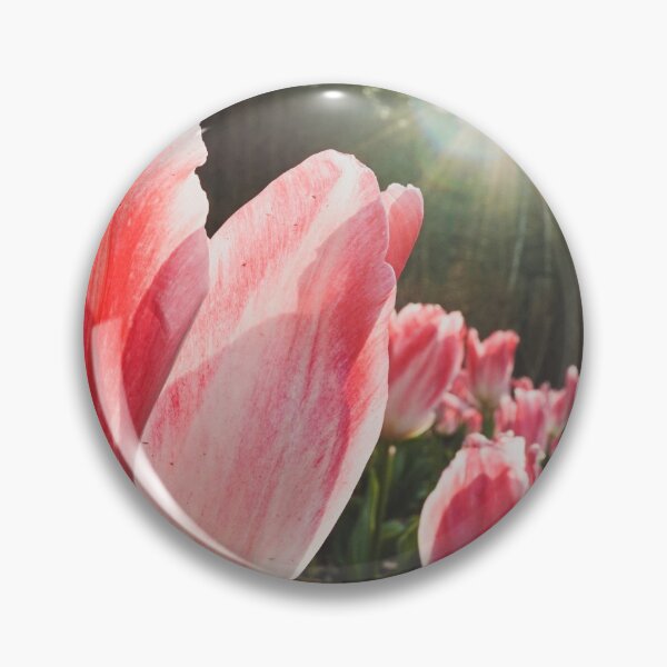 Item preview, Sunlight Pink Tulips designed and sold by thegraypocket.