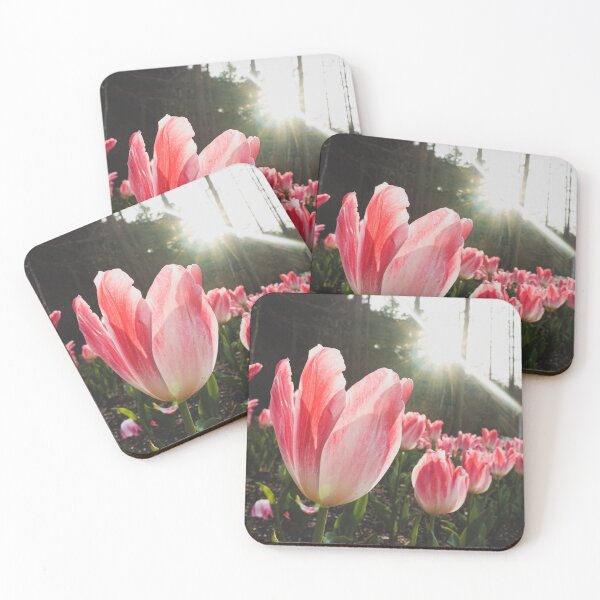 Item preview, Sunlight Pink Tulips designed and sold by thegraypocket.