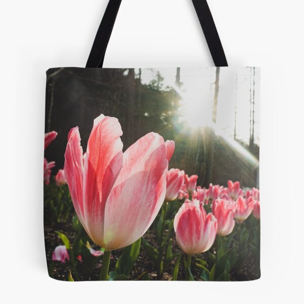 Item preview, Sunlight Pink Tulips designed and sold by thegraypocket.