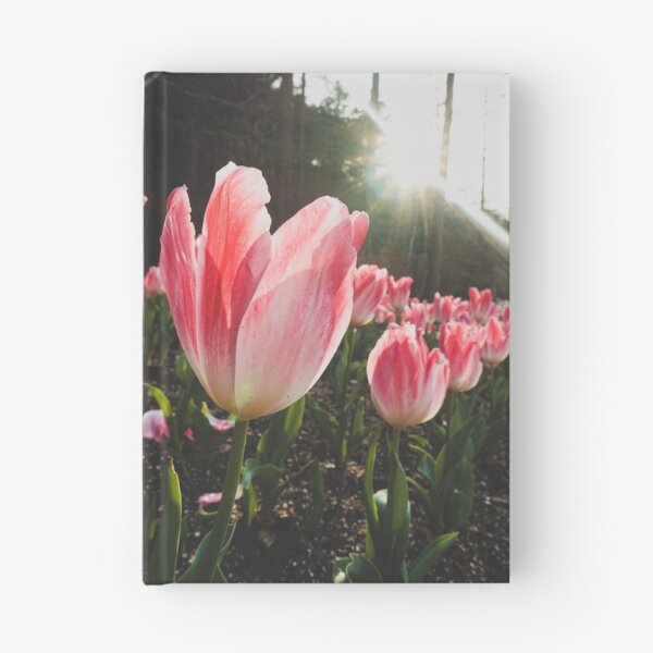 Item preview, Sunlight Pink Tulips designed and sold by thegraypocket.