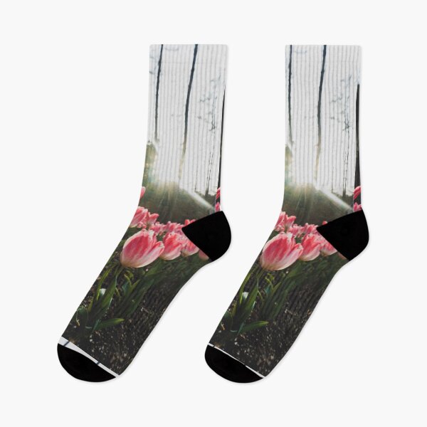 Item preview, Sunlight Pink Tulips designed and sold by thegraypocket.