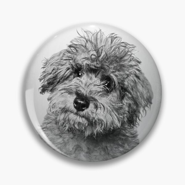 Item preview, Toy Poodle dog - BW Vintage - D90 designed and sold by DecoVintage.