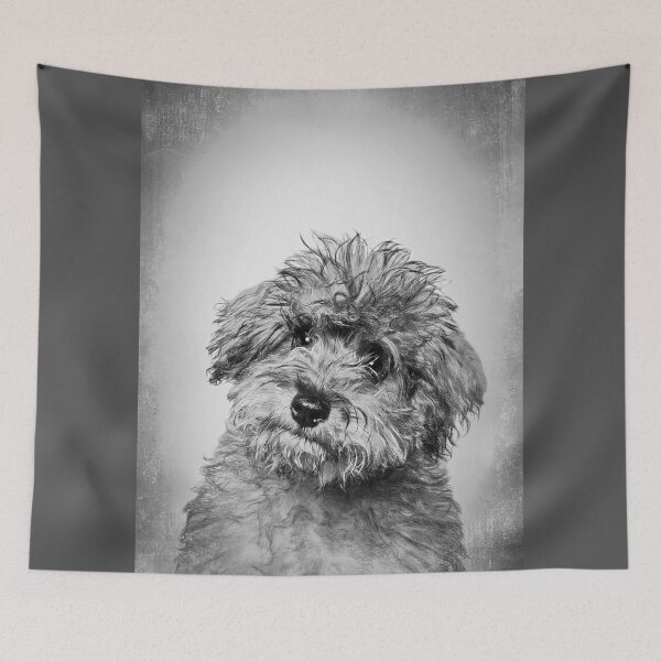 Item preview, Toy Poodle dog - BW Vintage - D90 designed and sold by DecoVintage.