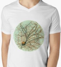 Dendritic tree and spines of an hippocampal neuron - watercolor - green Men's V-Neck T-Shirt