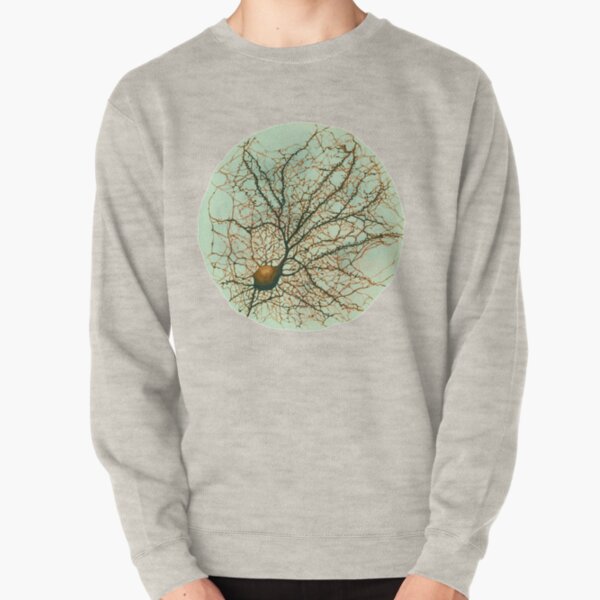 Dendritic tree and spines of an hippocampal neuron - watercolor - green Pullover Sweatshirt