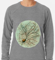 Dendritic tree and spines of an hippocampal neuron - watercolor - green Lightweight Sweatshirt