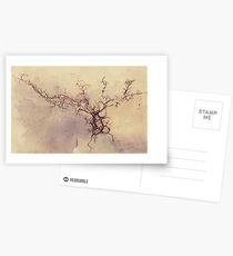 Olfactory bulb neuron - pencil and watercolor Postcards