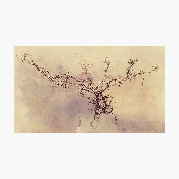 Olfactory bulb neuron - pencil and watercolor Photographic Print