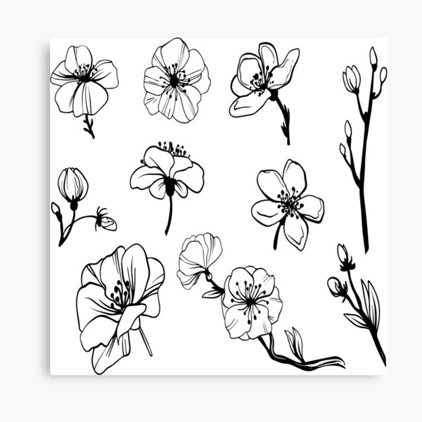black and white plant artwork 2021 Canvas Print