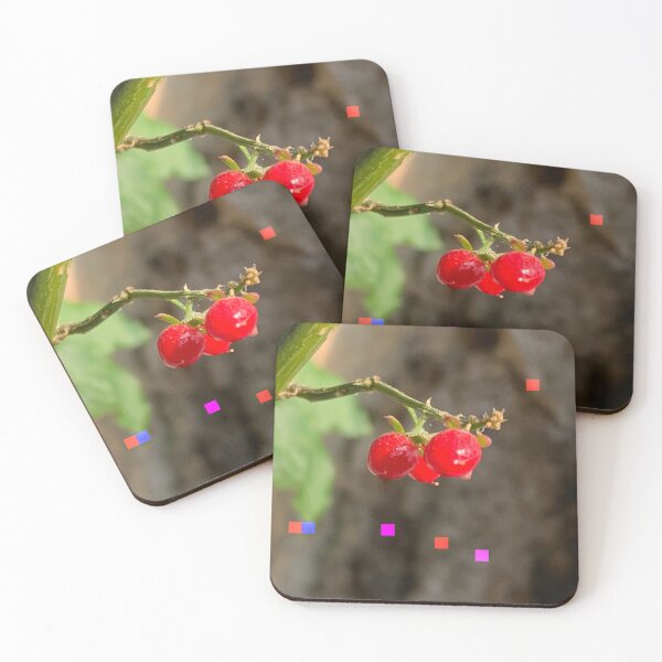 Item preview, forest fruits designed and sold by Art Beetle.