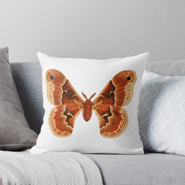 Item preview, Big Beautiful Moth designed and sold by artistoutfitter.