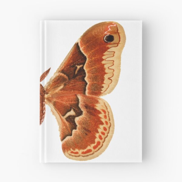 Item preview, Big Beautiful Moth designed and sold by artistoutfitter.