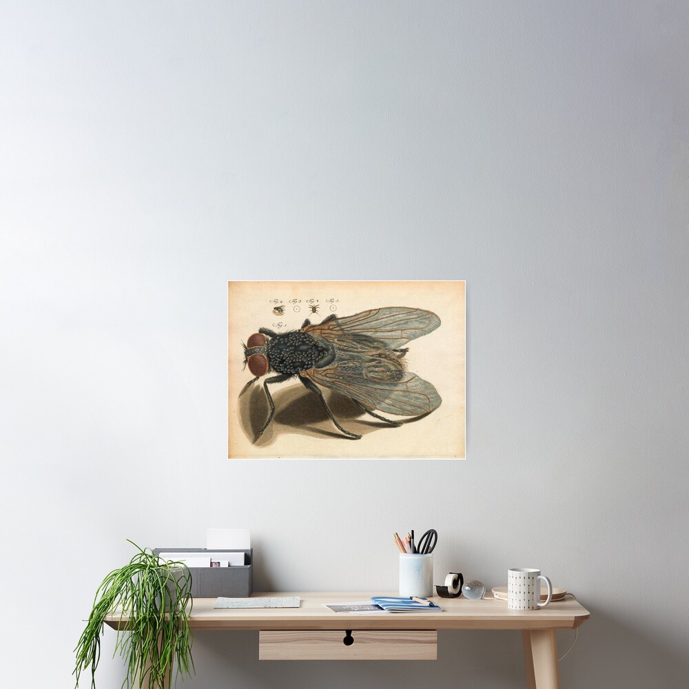 Item preview, Poster designed and sold by Alex-Strange.