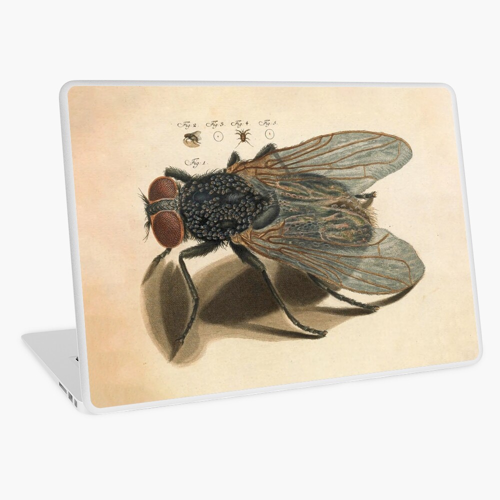 Item preview, Laptop Skin designed and sold by Alex-Strange.
