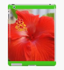 Hibiscous - Chicago IL Mag Mile If you like, purchase, try a cell phone cover thanks! iPad Case/Skin