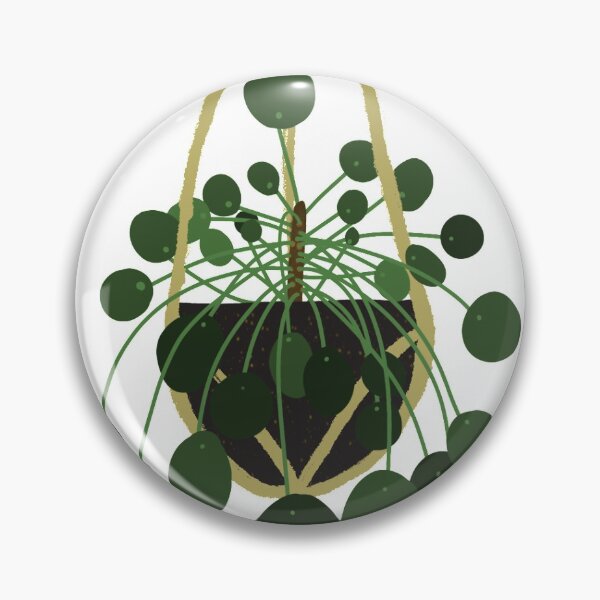 Item preview, hanging pilea plant designed and sold by madewithloveyyt.