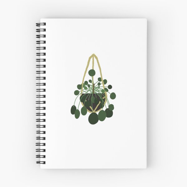 Item preview, hanging pilea plant designed and sold by madewithloveyyt.