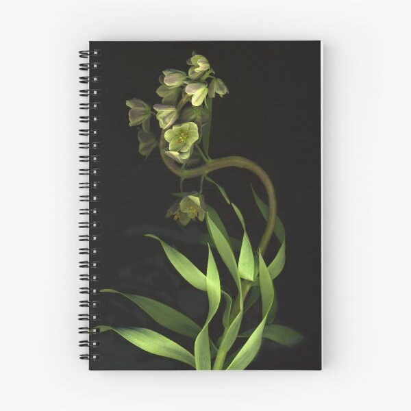 Item preview, Fritillaria ~ With A Curve designed and sold by Barbara E Wyeth.