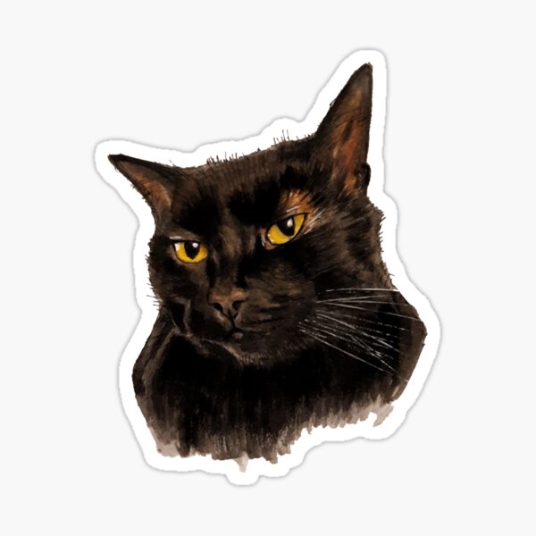 Item preview, Don't mess with me designed and sold by Mostly All Cats Stuff.
