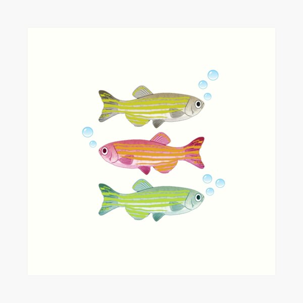 Item preview, ZebraFish designed and sold by HumbleIdeas.