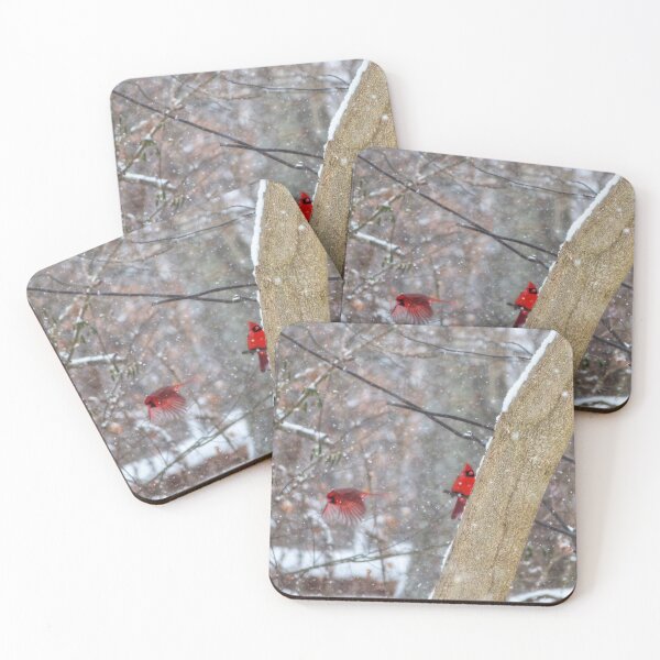 Item preview, Cardinals in the Snow designed and sold by Frankie Cat Photography.