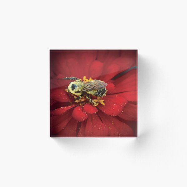 Item preview, Bee Paradise 2  designed and sold by OriginCaptures.