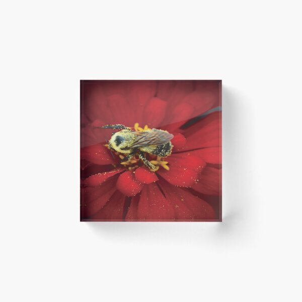 Item preview, Bee Paradise 2  designed and sold by OriginCaptures.