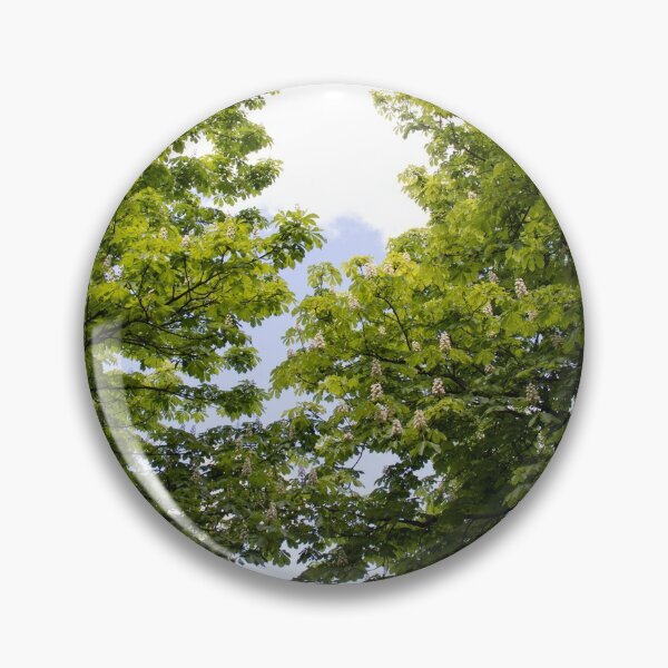 Item preview, Chestnut, chestnut trees designed and sold by PrintGood.