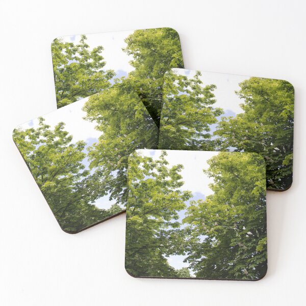 Item preview, Chestnut, chestnut trees designed and sold by PrintGood.