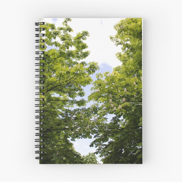 Item preview, Chestnut, chestnut trees designed and sold by PrintGood.