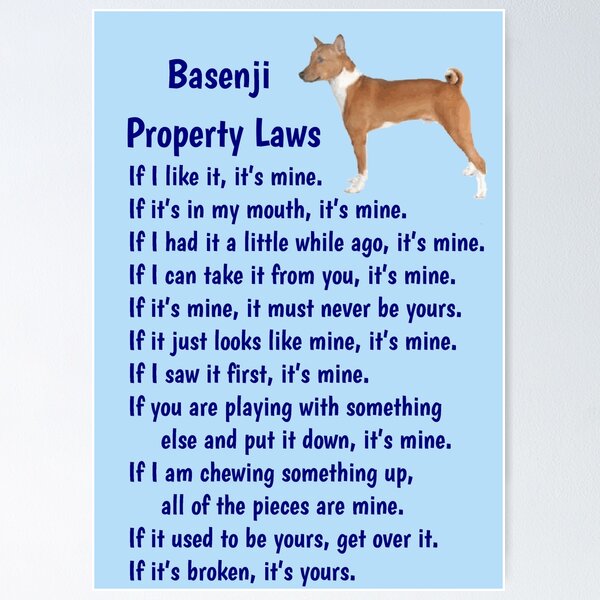 Item preview, Basenji - property laws  designed and sold by thepetcellar.