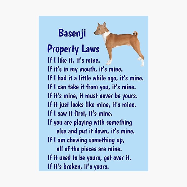 Item preview, Basenji - property laws  designed and sold by thepetcellar.