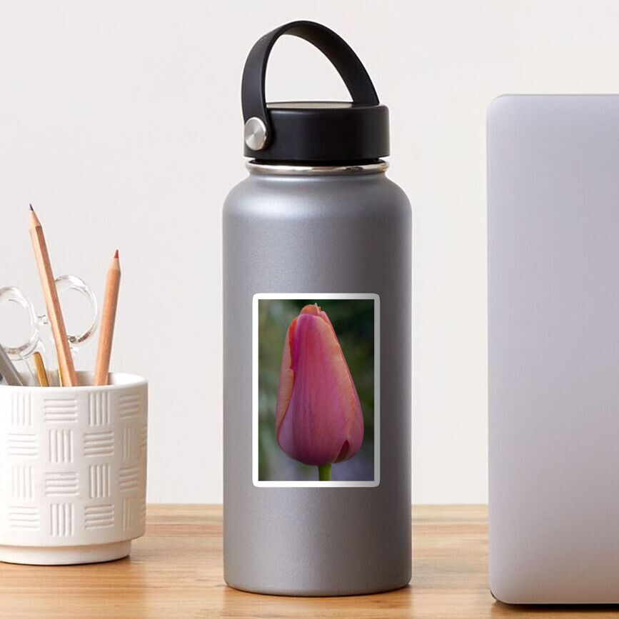 Artikel-Vorschau von Sticker, designt und verkauft von DianeFIFIELD.