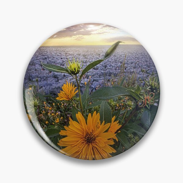 Item preview, Sky Equinox designed and sold by LibrosBOOKtique.