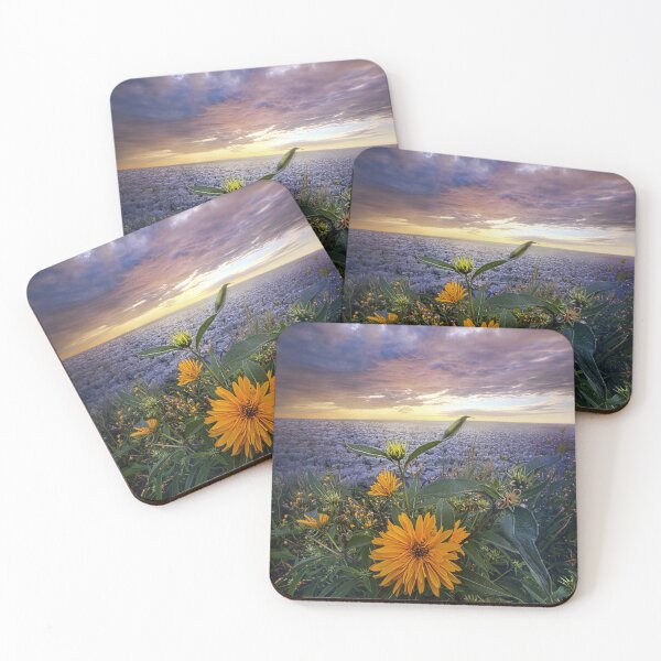 Item preview, Sky Equinox designed and sold by LibrosBOOKtique.