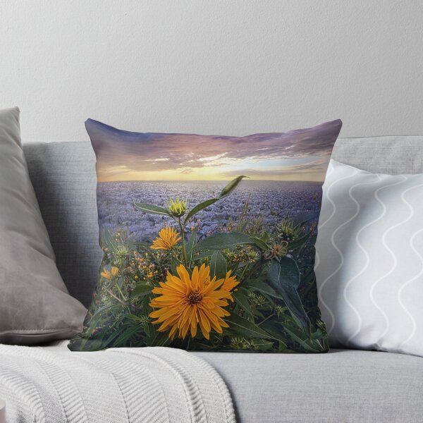 Item preview, Sky Equinox designed and sold by LibrosBOOKtique.