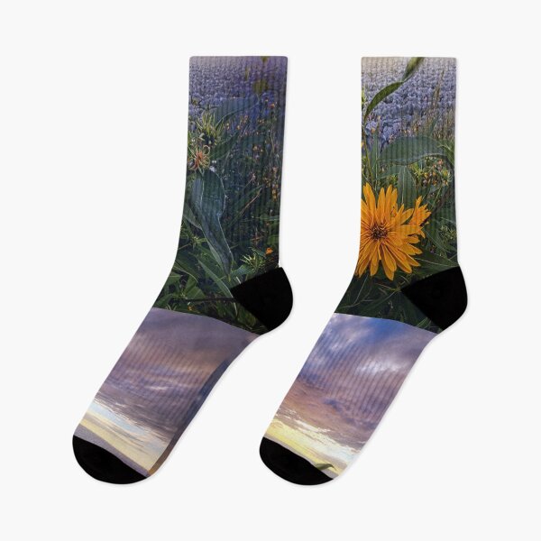 Item preview, Sky Equinox designed and sold by LibrosBOOKtique.