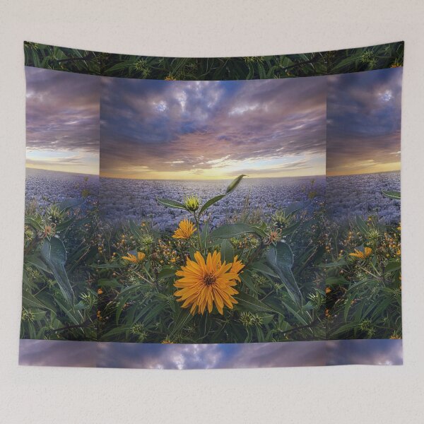 Item preview, Sky Equinox designed and sold by LibrosBOOKtique.