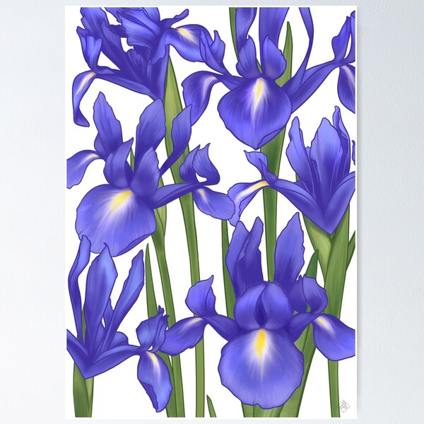 Item preview, Blue Iris Symphony designed and sold by Iker Paz Studio.