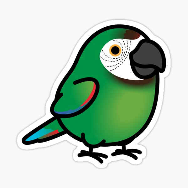 Item preview, Chubby Severe Macaw designed and sold by birdhism.
