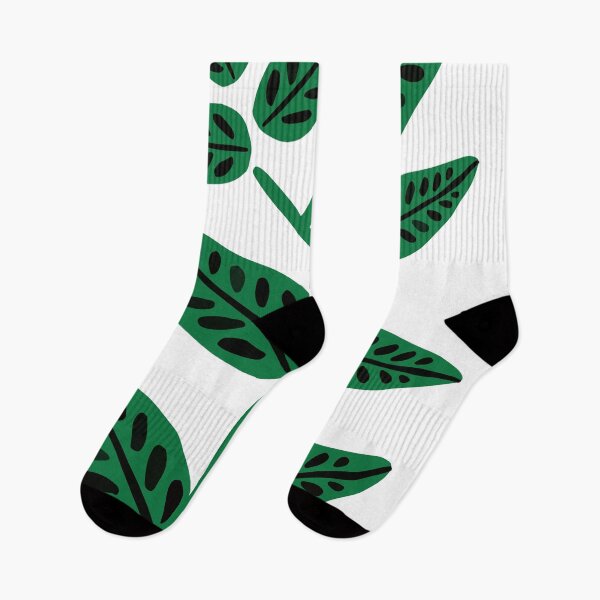 Item preview, plants designed and sold by guaxinim.