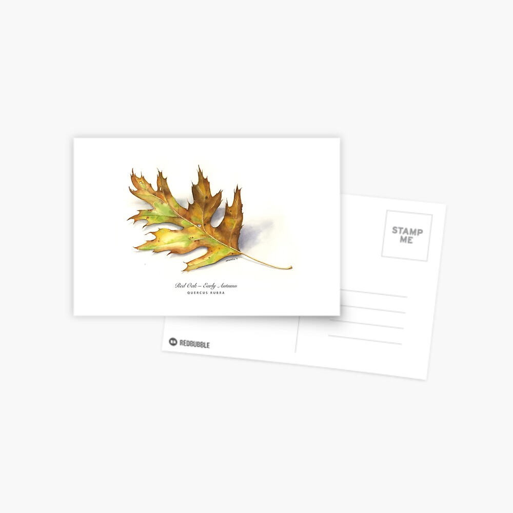 Item preview, Postcard designed and sold by mindofwaterc.