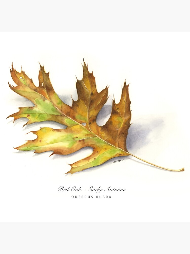 Thumbnail 4 of 4, Pillow, Early Autumn Oak designed and sold by mindofwaterc.