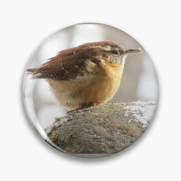 Item preview, Carolina Wren on coldest day since 1917 designed and sold by Jean Gregory Evans.
