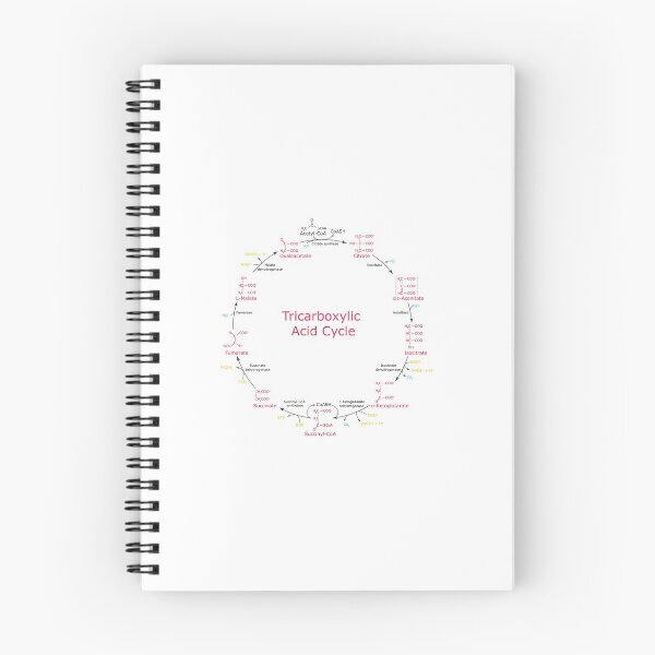 Item preview, ciclo de Krebs designed and sold by THOMASDMA.